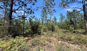 3974 NW Joy Ln, Altha, FL 32421