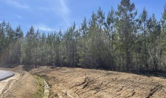 903 Old Glory Ln Lot 27, Brandon, MS 39047