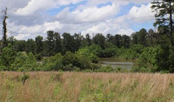 Vine Drive, Brandon, MS 39047