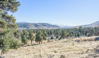 3221 Reese Ln, Gardnerville, NV 89410