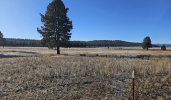 31747 Godowa Springs Rd, Beatty, OR 97621