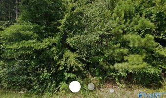1905 19th Ave, Attalla, AL 35954