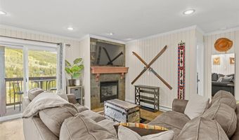 67 PEAKS VIEW Ct 232, Blue River, CO 80424