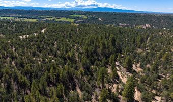 Canoncito Lane Turley Mill Lot 7, Arroyo Hondo, NM 87513