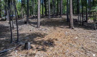 4741 Meko Dr, Camp Connell, CA 95223