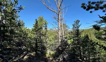 0 Pine Cone Cir Lot 46, Allenspark, CO 80540