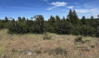 112 TIMBER Rd, Bickleton, WA 99322