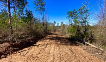 Adams Road - 1 & 2, Bankston, AL 35542
