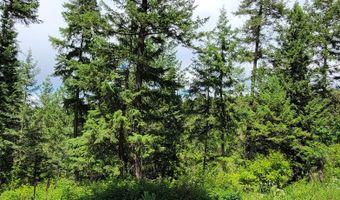 Smugglers Ln Tract A E, Bonners Ferry, ID 83805