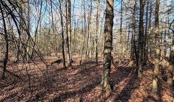 South Road, Addison, NY 14801