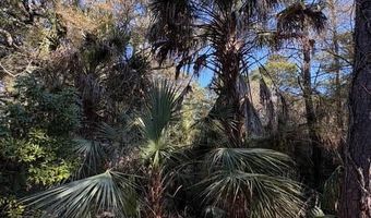 2 Gray Fox Ct Lot 449, Bald Head Island, NC 28461