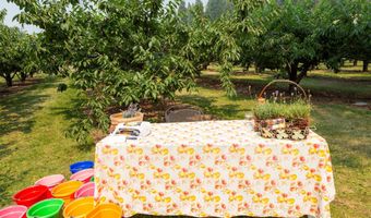 21848 Mt Highway 35, Bigfork, MT 59911