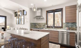 505 Park Cir B, Aspen, CO 81611