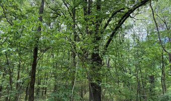 N Osborntown Rd, Arlington, TN 38002