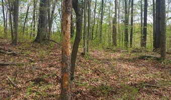 14352 N Hwy 127 Lot 18 Wolf Sub, Albany, KY 42602