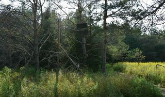 9537 LAKEVIEW Rd, Alanson, MI 49706