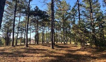 Lot 8 Mountain View Way, Bainbridge, GA 39819