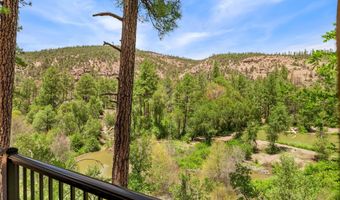 19424 Blue River Rd, Blue, AZ 85922