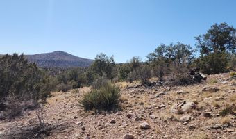 Lot 1 Big View, Ash Fork, AZ 86320
