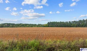 TBD Beverly Creek Rd, Bennettsville, SC 29512