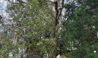 237 12th St, Apalachicola, FL 32320