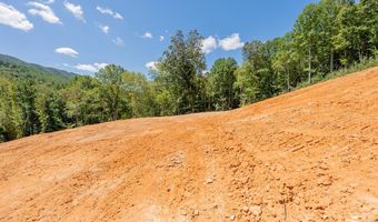 Lot 20 Clear Fork Creek Road, Bastian, VA 24314