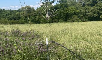 19 27 Acres County Road 656, Anderson, AL 35610