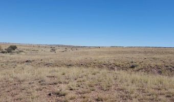 23 County Road 6030, Concho, AZ 85924