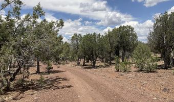 154 153 Gleed Sta, Ash Fork, AZ 86320