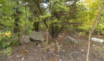 452 QUARTZVILLE Rd, Alma, CO 80420