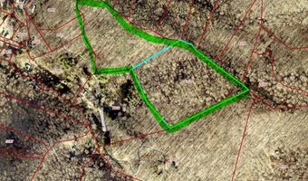 99999 Harwood Rd, Barnardsville, NC 28709