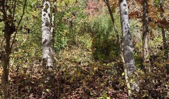 N Fork River Road, Abingdon, VA 24210