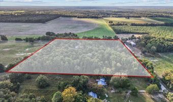 4654 NW 45th Ave, Bell, FL 32619