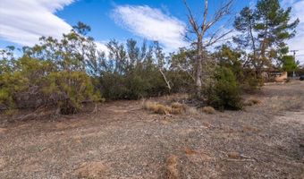 59481 Burnt Valley Rd, Anza, CA 92539