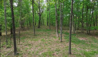 1271 A Tunnel Ridge Rd, Argillite, KY 41121