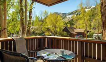 400 W Hopkins Ave 5, Aspen, CO 81611
