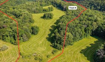 0 Willow Grove Hwy, Allons, TN 38541