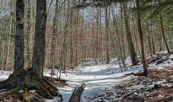 441 Tower Rd, Barnet, VT 05821