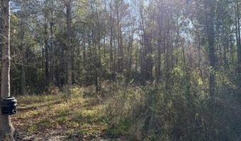 1404 SW Gene Rd, Bogue Chitto, MS 39629