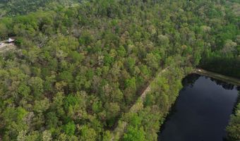 595 Ridgeview Lake Dr, Alabaster, AL 35007