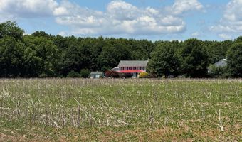 953 WHITE MARSH BRANCH Rd, Harrington, DE 19952