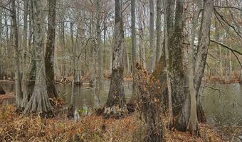 001 CR 532, Avalon, MS 38917