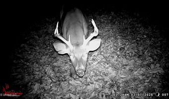 590 247 Country Rd, Bruce, MS 38915