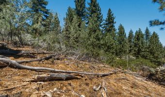 490 Nature's Edge Rd, Gardnerville, NV 89460