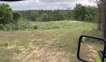 40 Acres Forestry Road 356, Beaumont, MS 39423