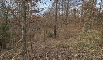 65 Acres Plainview Rd, Anderson, MO 64831