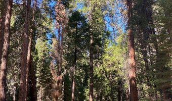 778 Yuroc Dr, Arnold, CA 95223