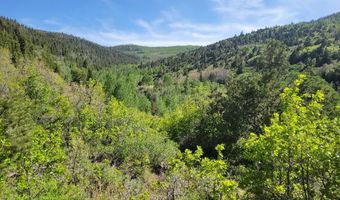 Braffits Creek Lot 61 & 62, Brian Head, UT 84719