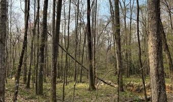 5000 County Road 53, Banks, AL 36005