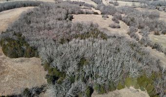 Rr 4 Box 1307-A, Ava, MO 65608